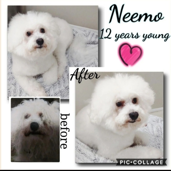 NWT Body by Victoria 32DDD red bra & panty - Picture 14 of 14